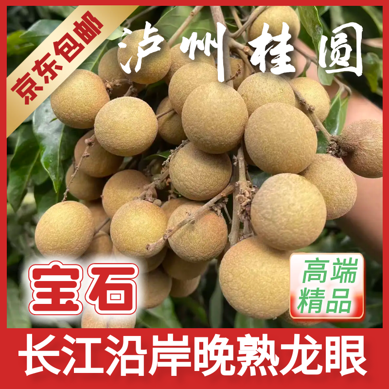 【宝石高端精品】泸州桂圆龙眼宝石大果精修枝条现摘现发礼盒装