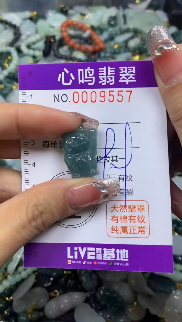 【闪购商品】翡翠颈饰未镶嵌闪购009557