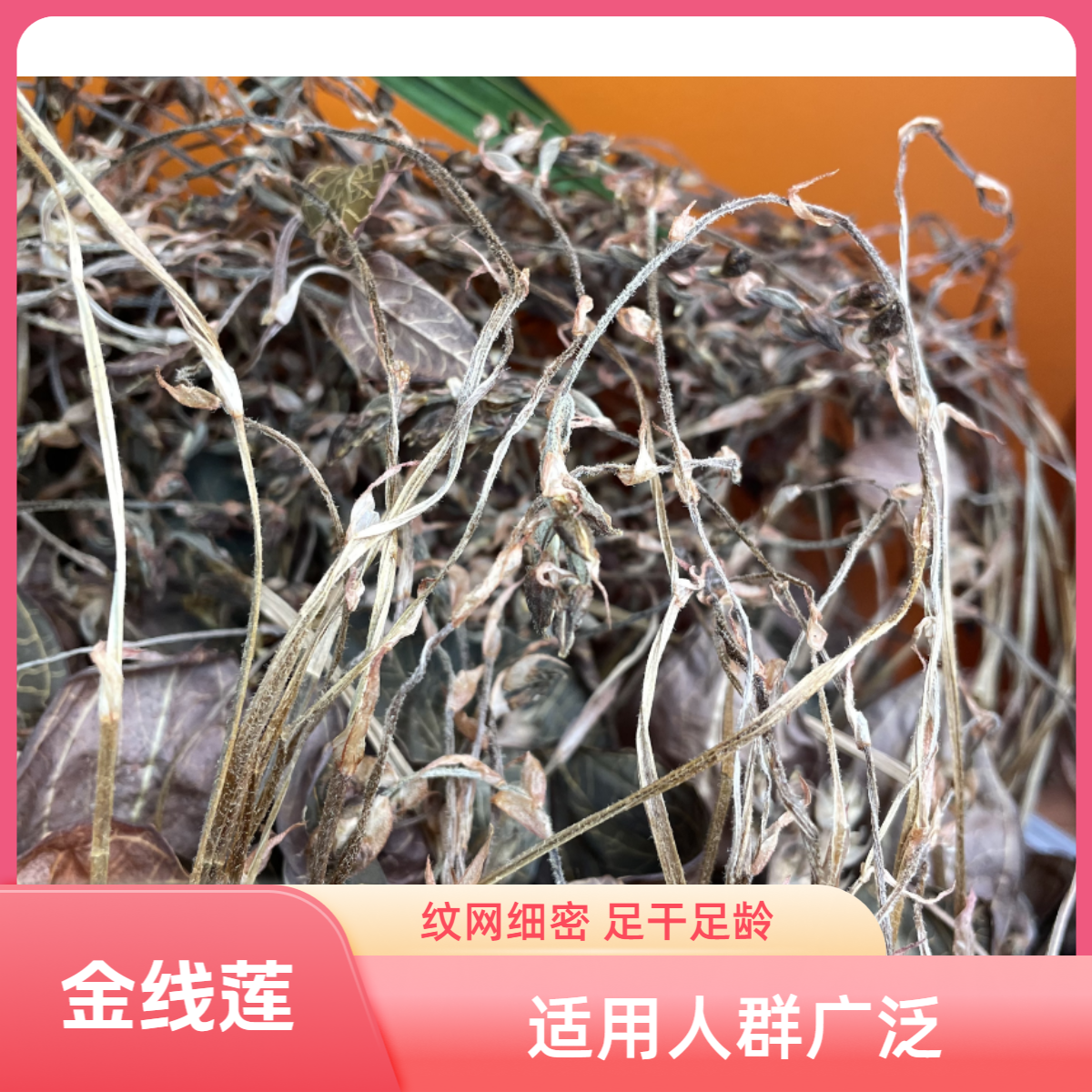 和泰隆   金线莲    1-500g