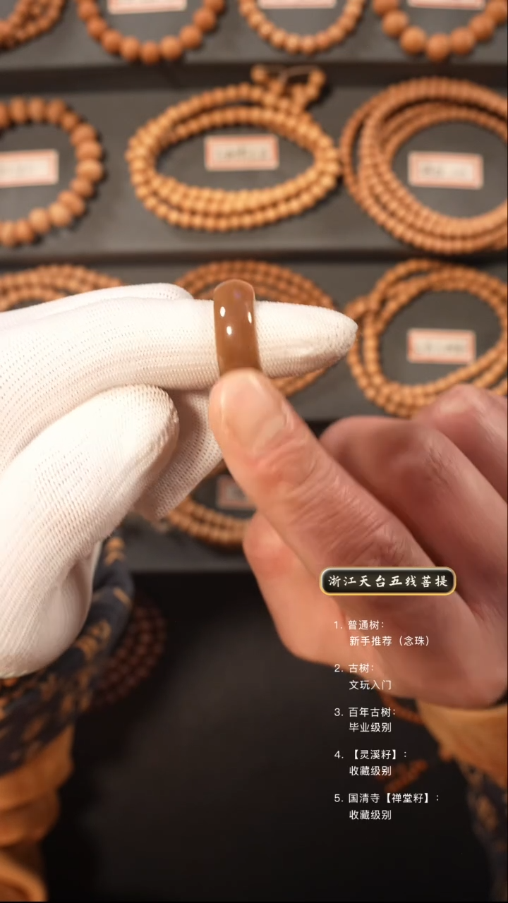 【闪购商品】五线菩提吊坠手串