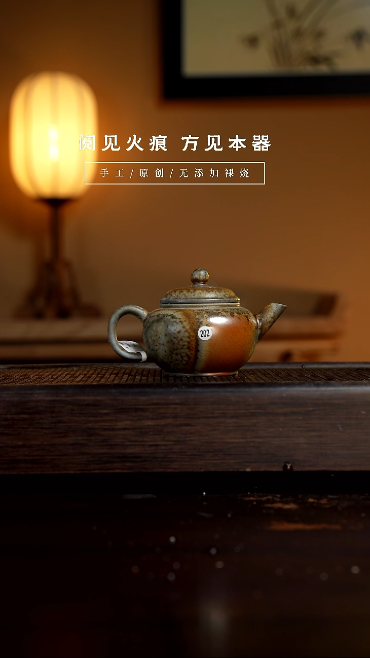 【闪购商品】202水平壶           