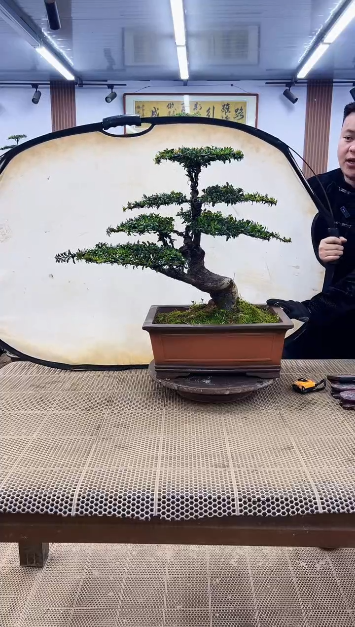 【闪购商品】0000000