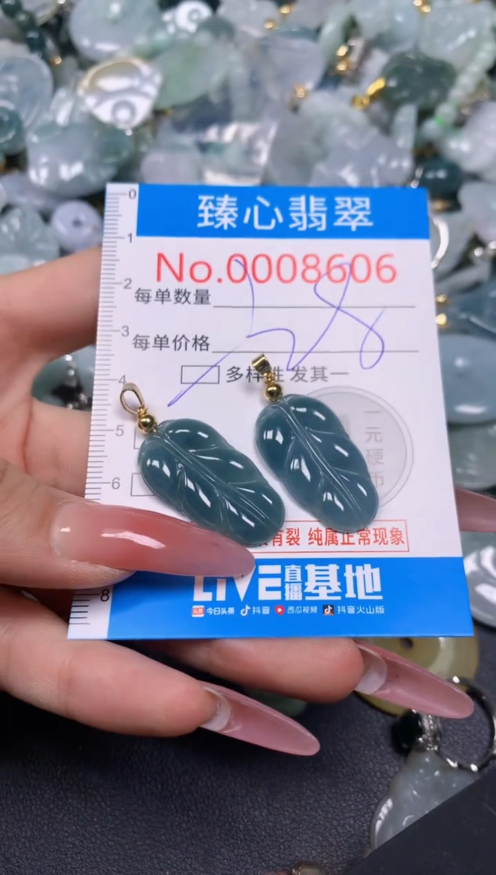 【闪购商品】翡翠颈饰未镶嵌含绳0008606