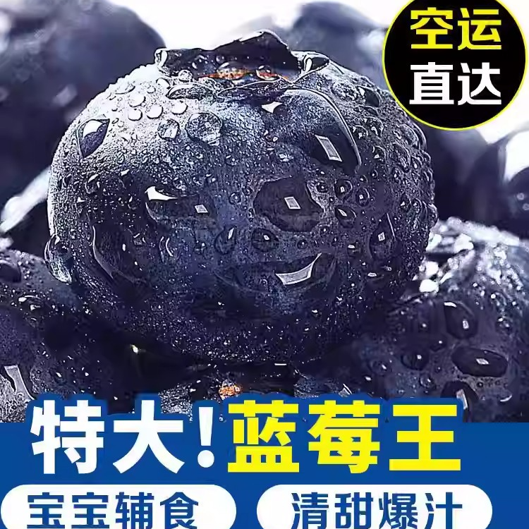 【顺丰包邮】云南花香蓝莓新鲜采摘果园直发酸甜可口F