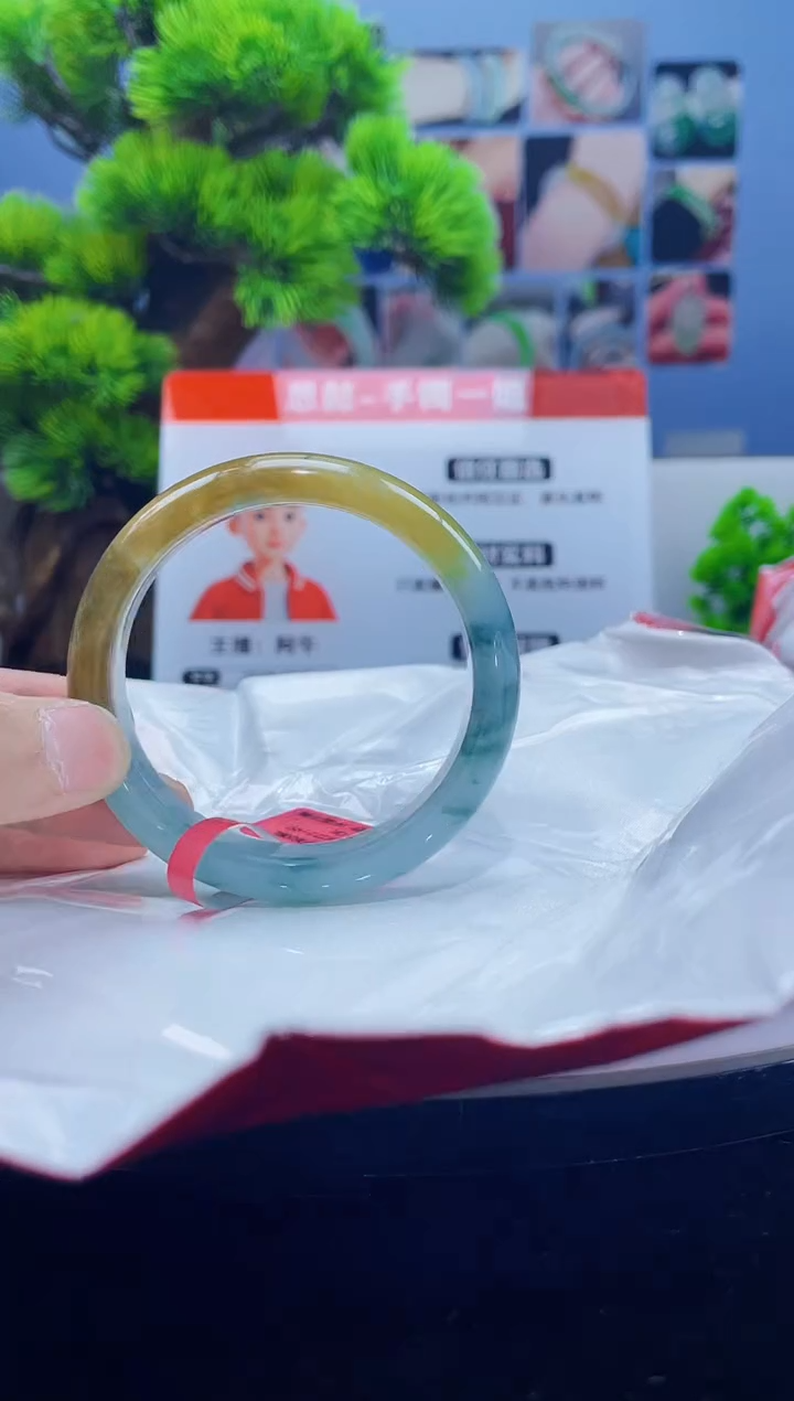 翡翠未镶嵌手镯手镯5