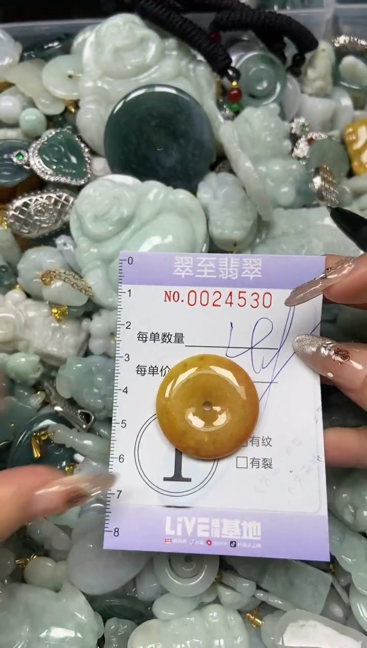 【闪购商品】翡翠颈饰未镶嵌闪购0024530