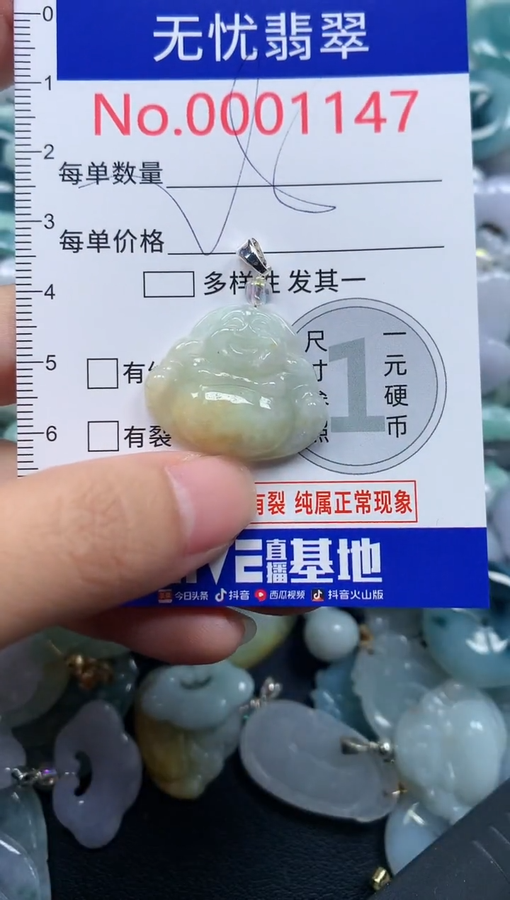 颈饰未镶嵌翡翠1147