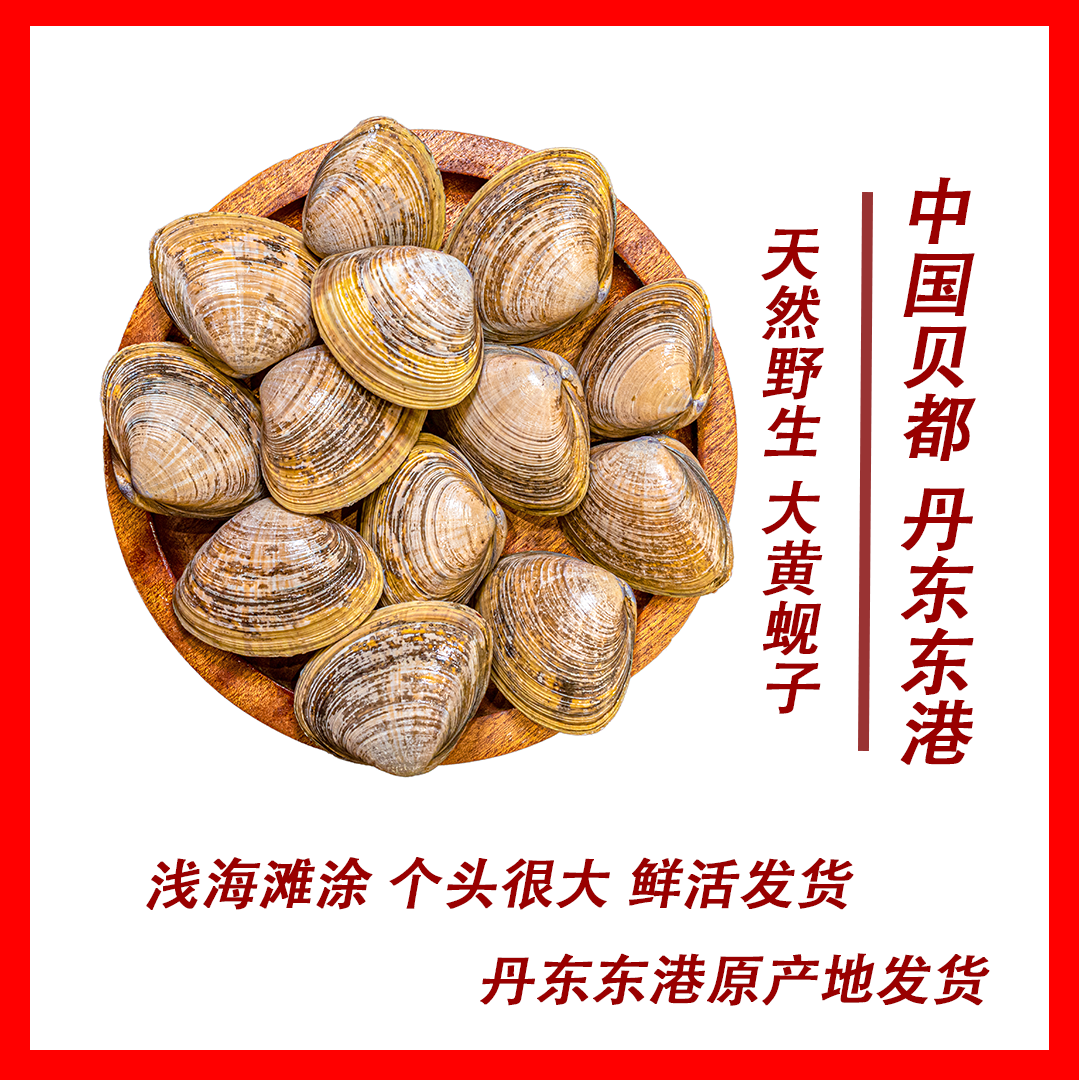 丹东东港黄蚬子 一斤22-25个头 吐沙率97%  95%活着到家 顺丰