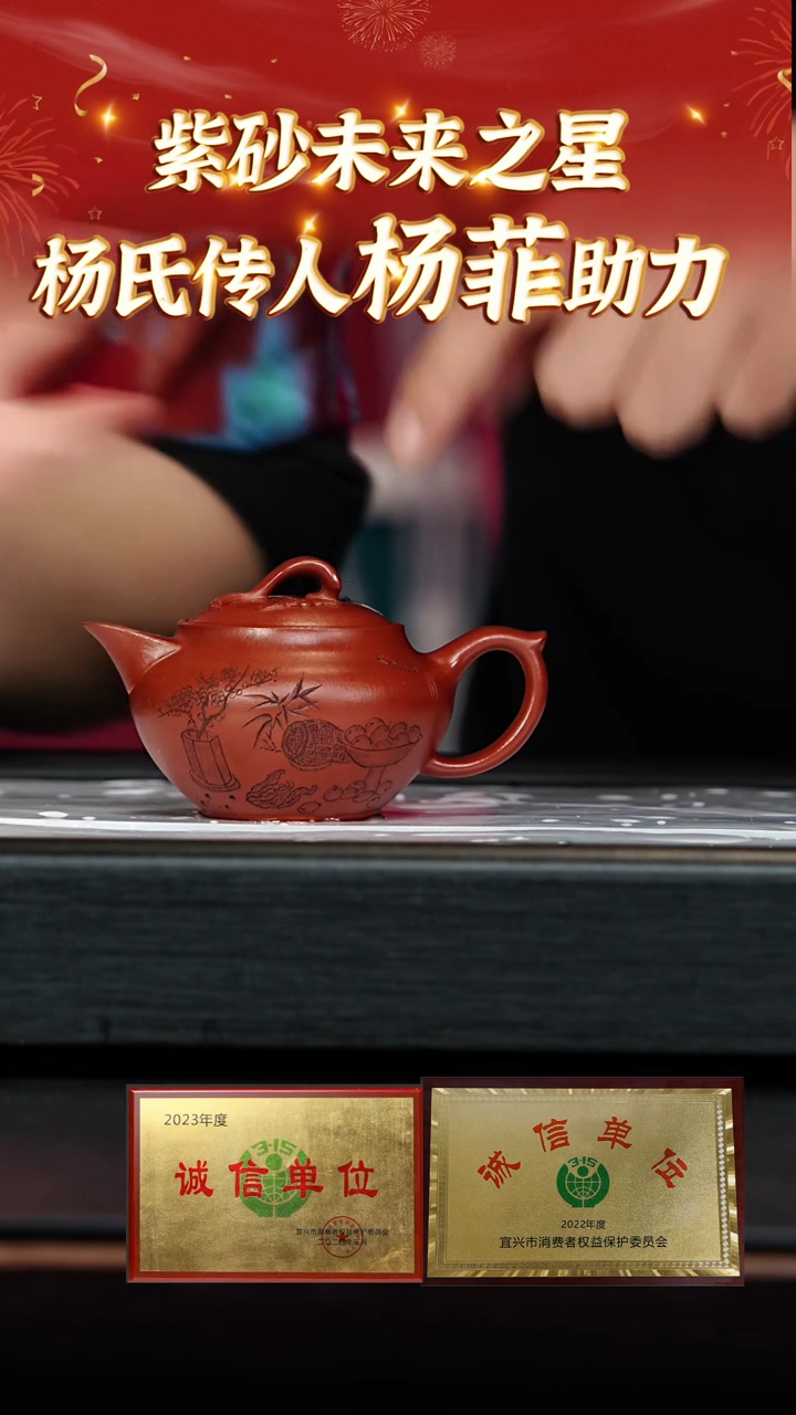 【闪购商品】紫砂茶壶26 杨菲老师专场  彭年朱泥