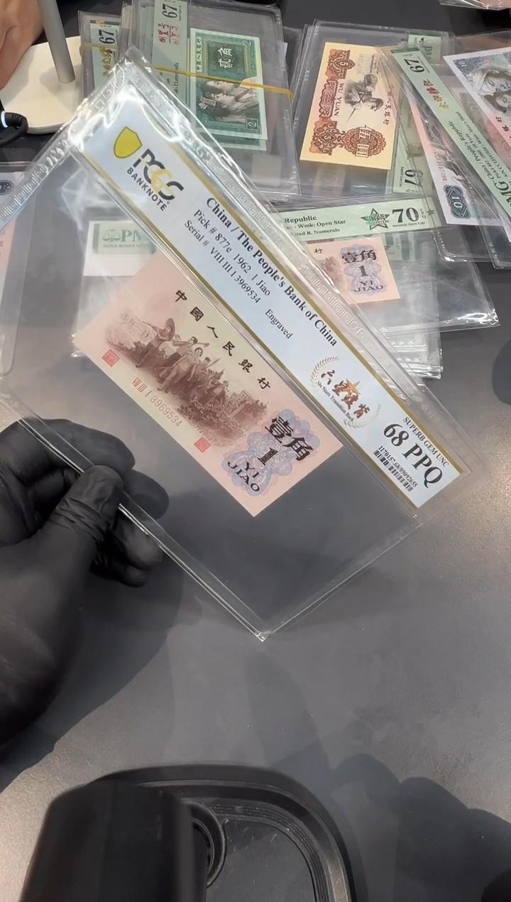 六星渡背尾534单张