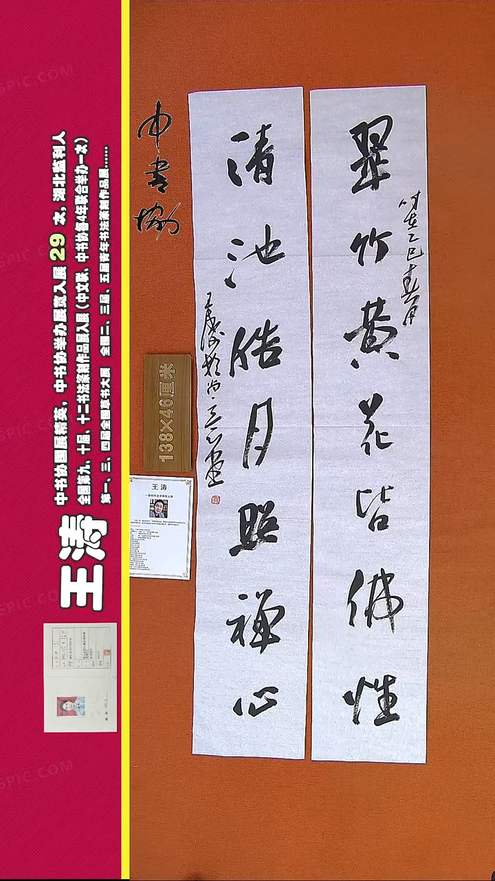 【闪购商品】书法190E王涛书法作品