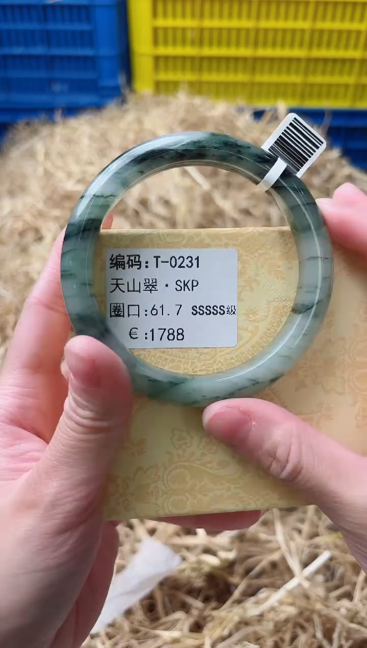 未镶嵌手镯石英质玉T-0231