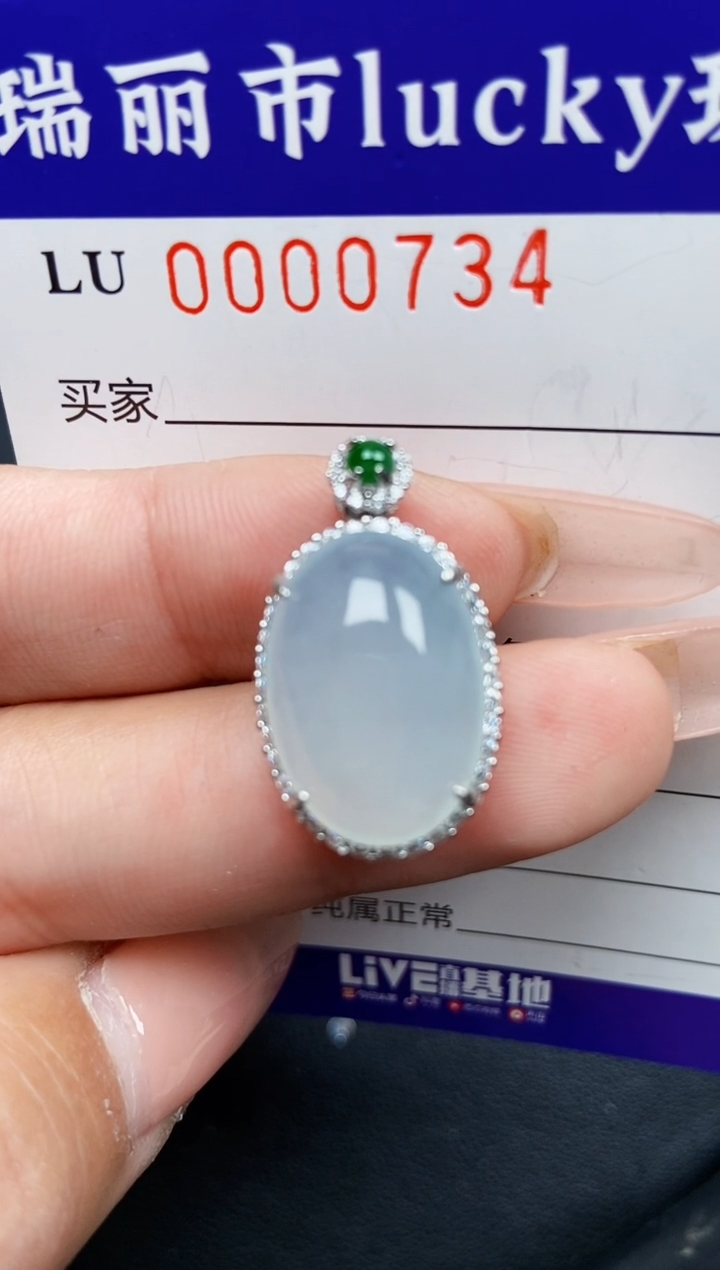 【闪购商品】翡翠颈饰银S925镶嵌0734