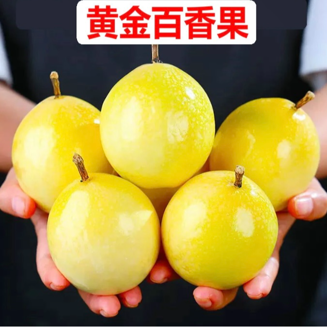 【阳哥专属】广西钦蜜九号黄金百香果  香甜营养多汁口感gr