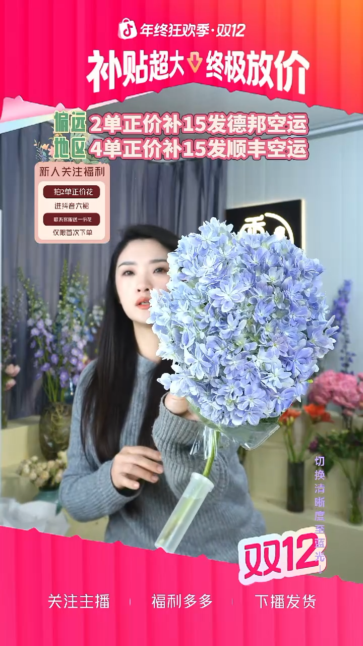 完全开放11号绣球 有色差介意勿拍
