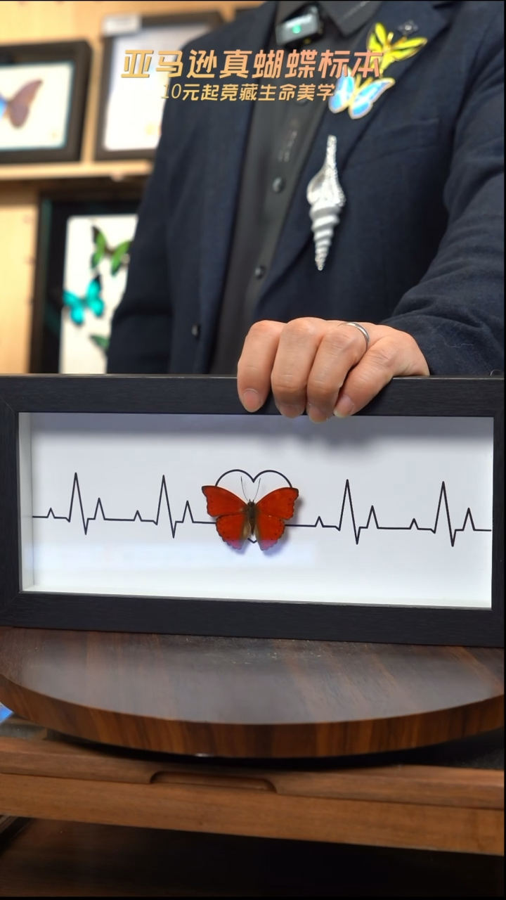 血漪蛱蝶心电图新版本 
