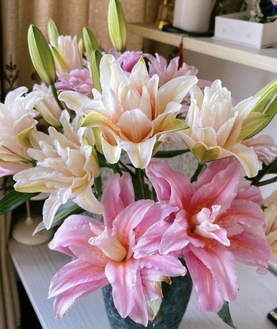 【大聪明卖花】富安娜重瓣百合花客厅高级感插花鲜花插花云南直发