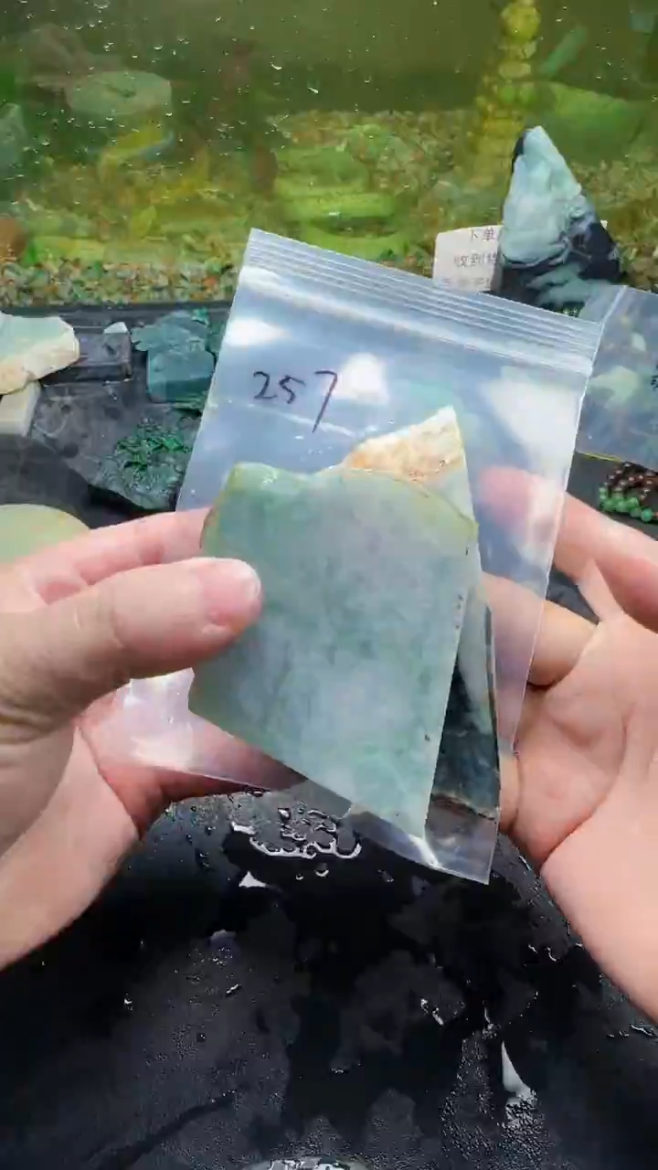 【闪购商品】翡翠颈饰未镶嵌257天然翡翠