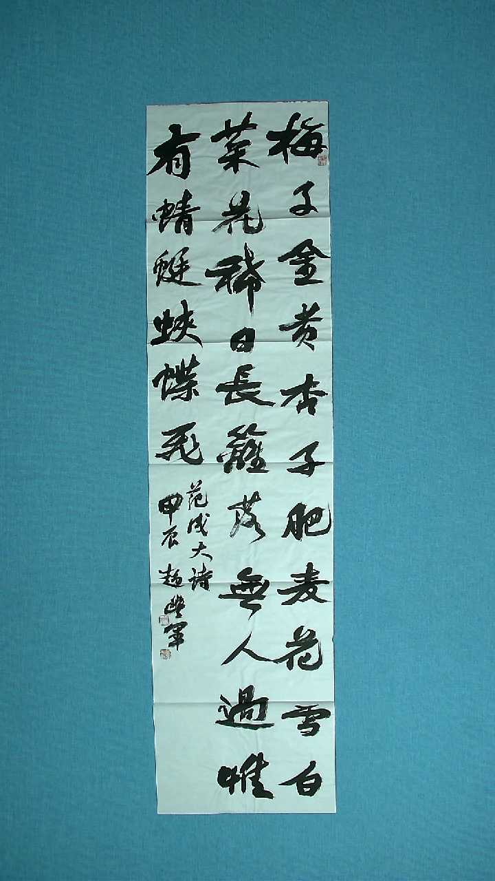 【闪购商品】书法251 河南赵丰军中书协138*34