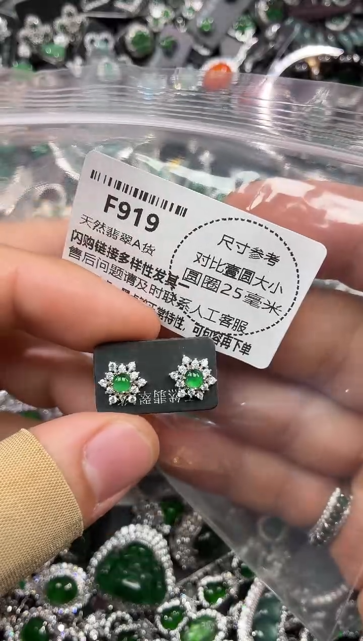颈饰未镶嵌翡翠F919耳钉