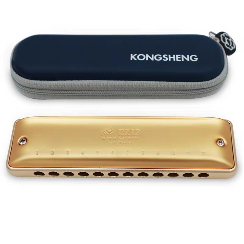 孔声小金条12孔口琴音质天花板全金属圆孔高端款专业演奏不压音