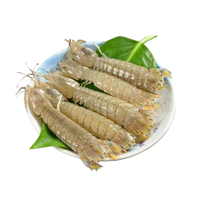 优选虾爬子（保鲜不包活运输过程可能出现断氧介意慎拍）2斤/3斤