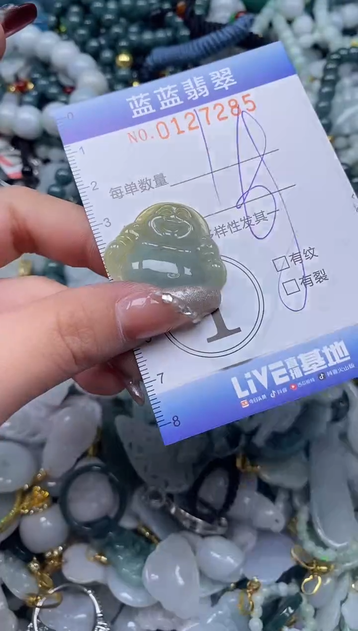 【闪购商品】翡翠颈饰未镶嵌闪购0127285