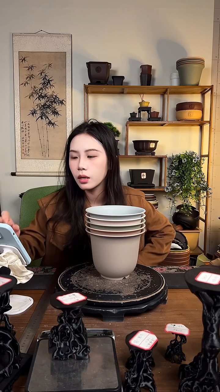 5只18口径金钟马卡龙色系