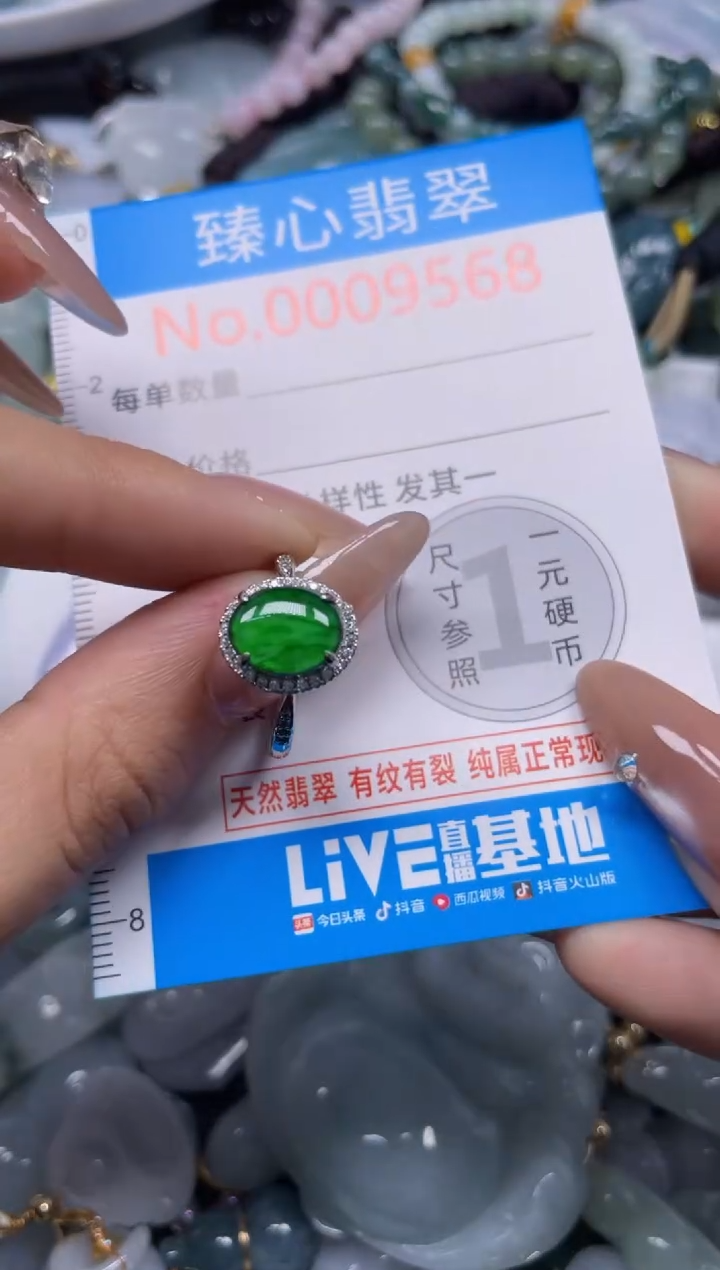 颈饰未镶嵌翡翠9568