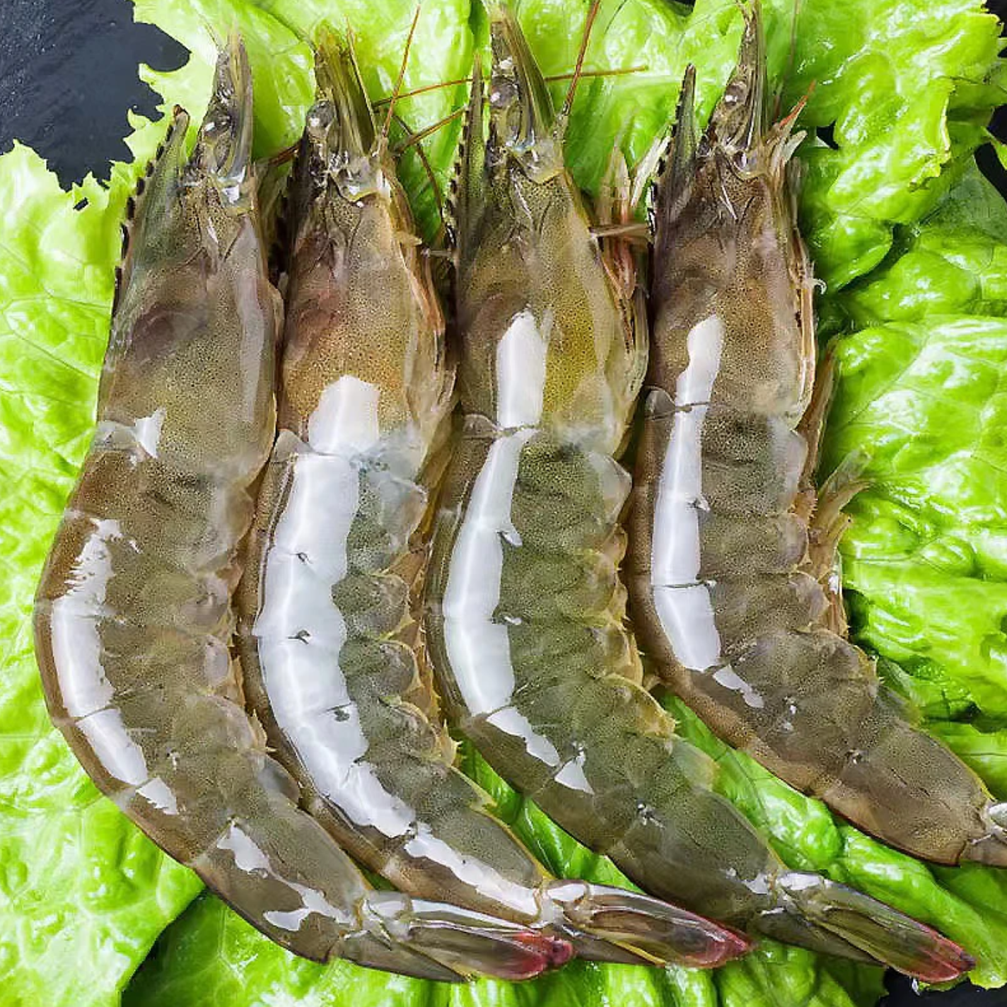 ［30-40海虾］青岛A级海虾单只体长16-18cm一盒4斤共50-60只  zb