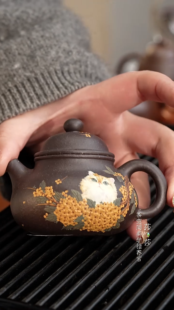 【闪购商品】桂花猫容天桂花猫容天桂花猫容天