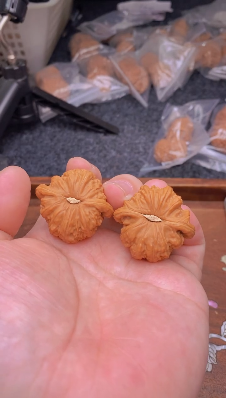 【闪购商品】文玩核桃把件G267号37尺白狮子