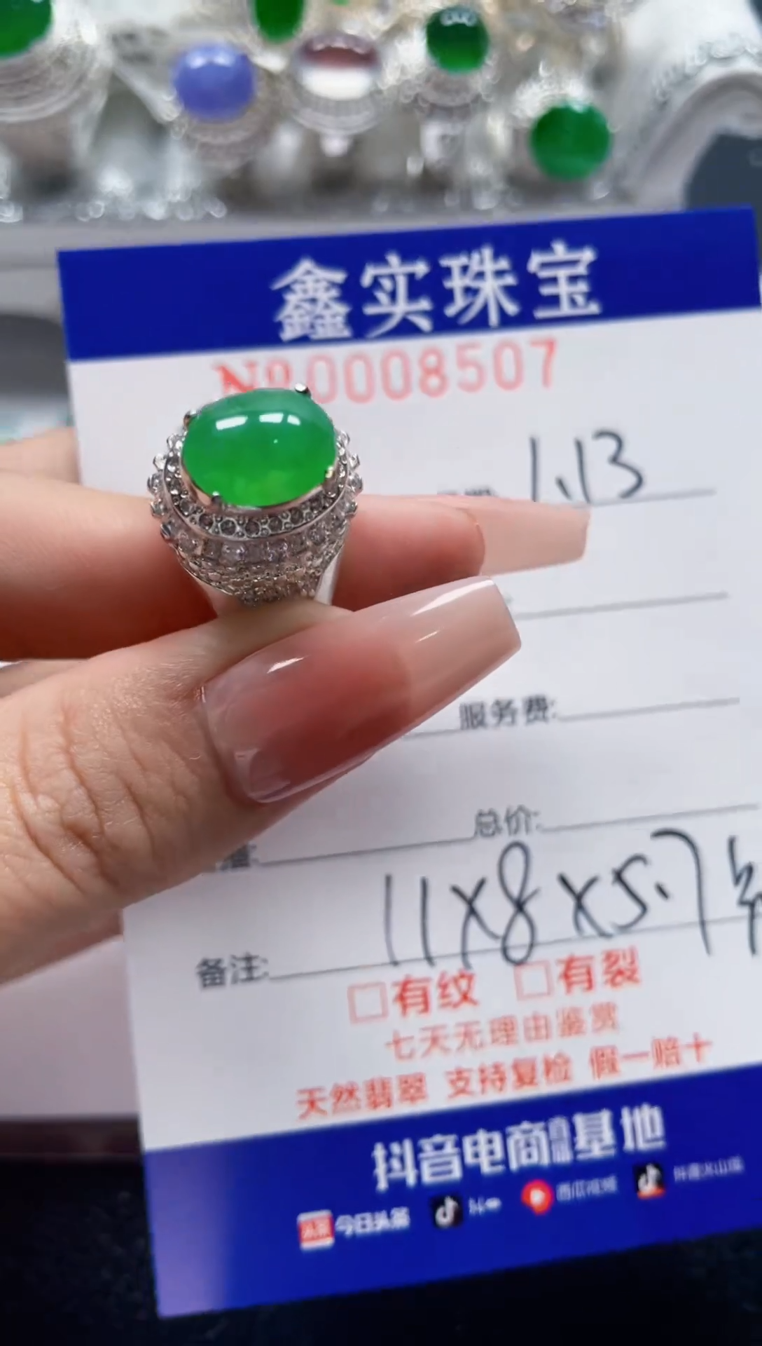 【闪购商品】翡翠颈饰未镶嵌/85070000