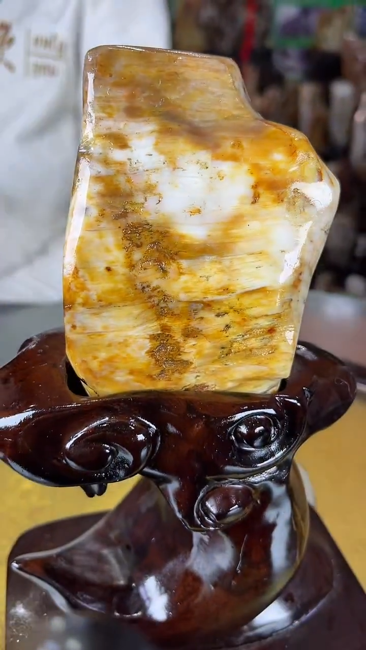 未镶嵌珠宝奇石硅化玉缅甸天然树化玉摆件