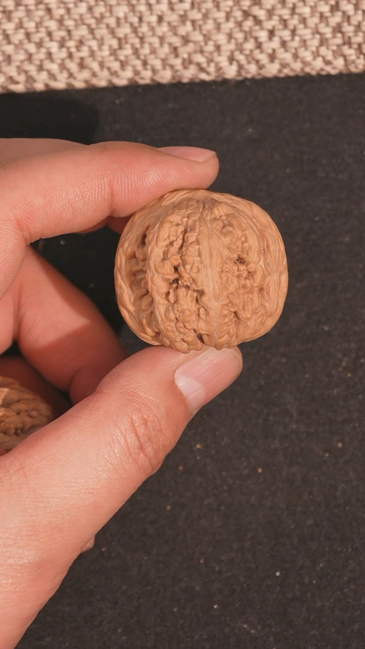 【闪购商品】文玩核桃把件粗筋38全品