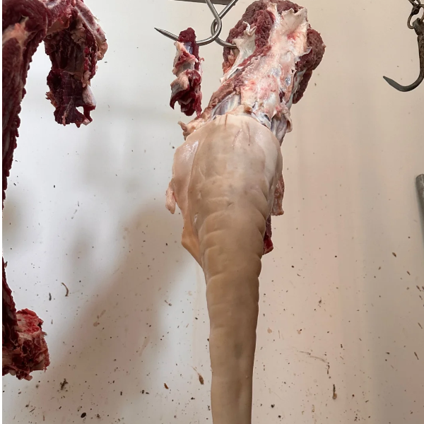 【整条】小黄牛牛尾 九斤左右 帮烧毛 切块