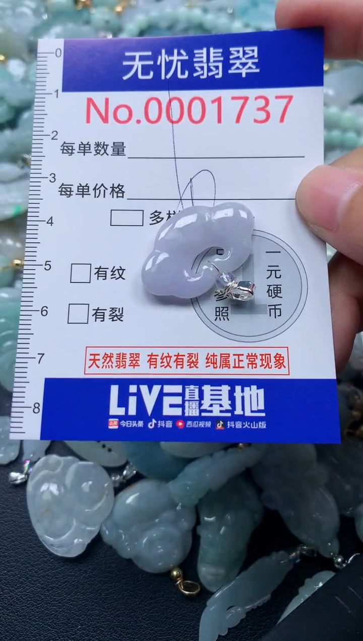 颈饰未镶嵌翡翠1737