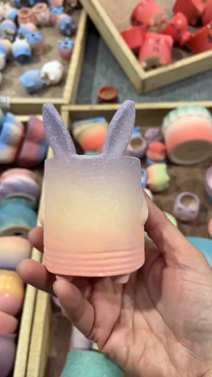 【闪购商品】红陶5*6