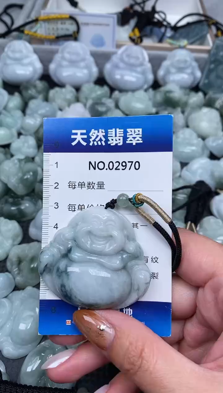颈饰未镶嵌翡翠纯天然A货翡翠2970