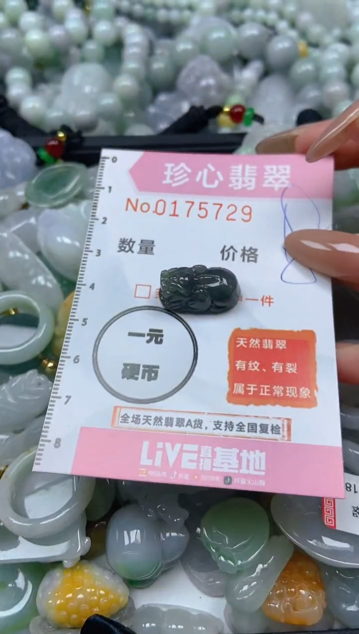 【闪购商品】翡翠颈饰未镶嵌闪购0175729
