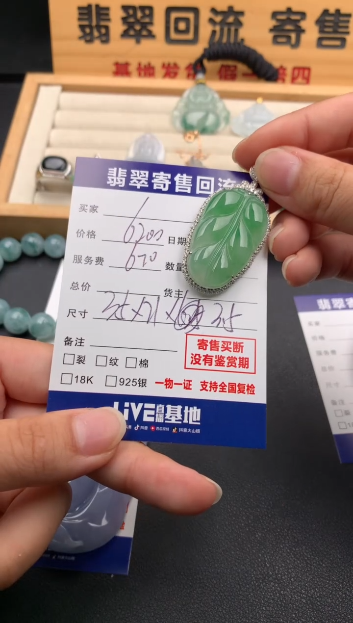 翡翠18K金镶嵌颈饰10141486