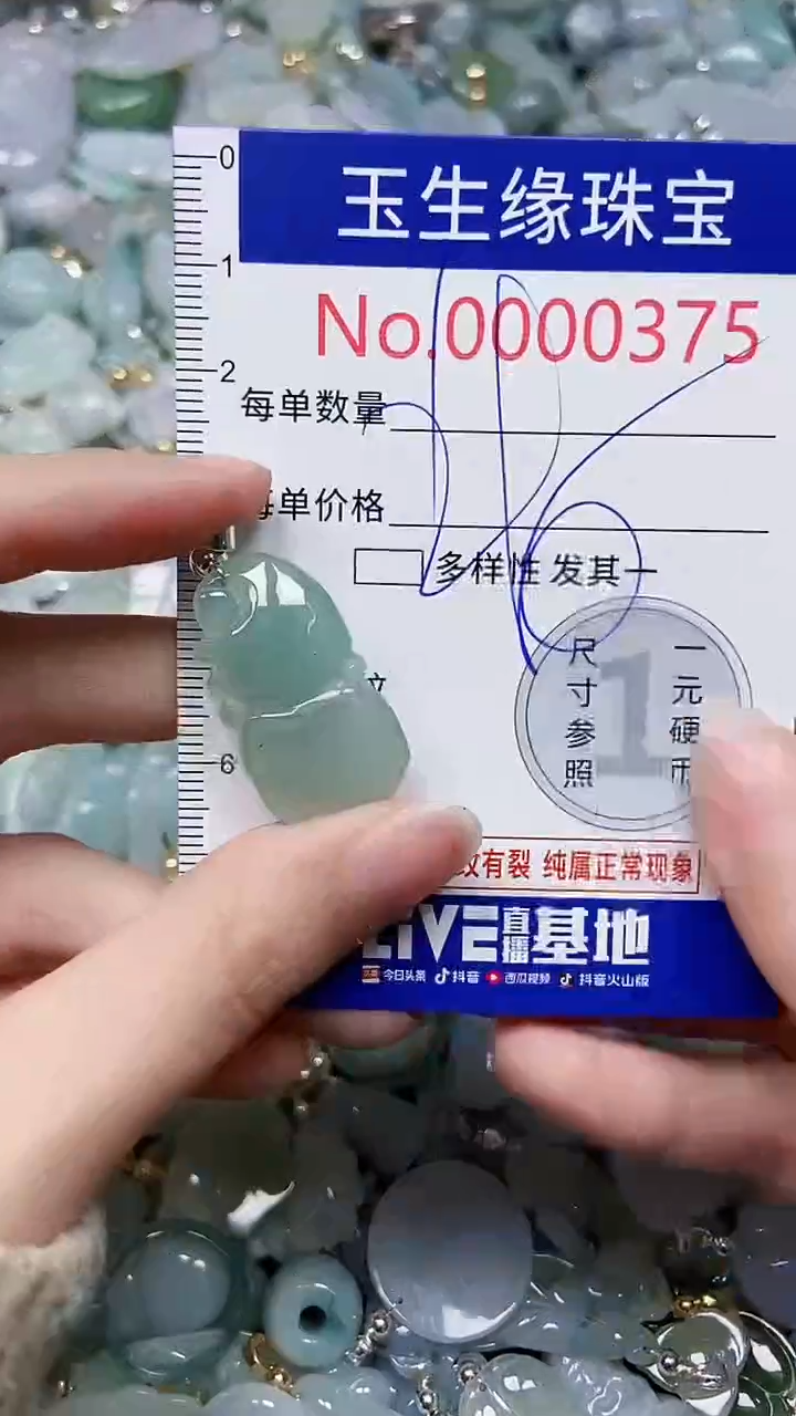 【闪购商品】翡翠颈饰未镶嵌闪购00000375