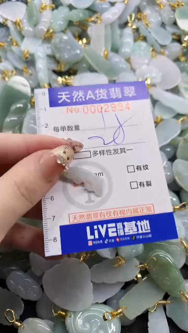 颈饰未镶嵌翡翠天然A货翡翠