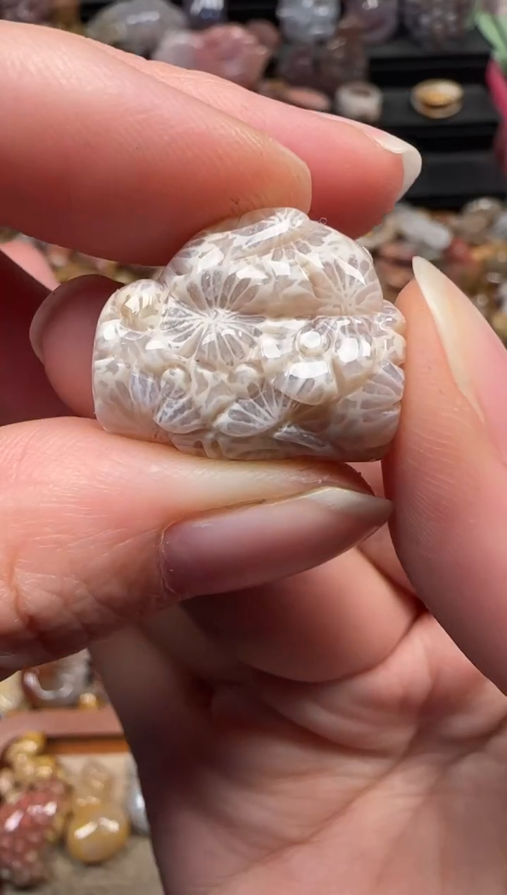 颈饰未镶嵌硅化珊瑚（珊瑚玉）666