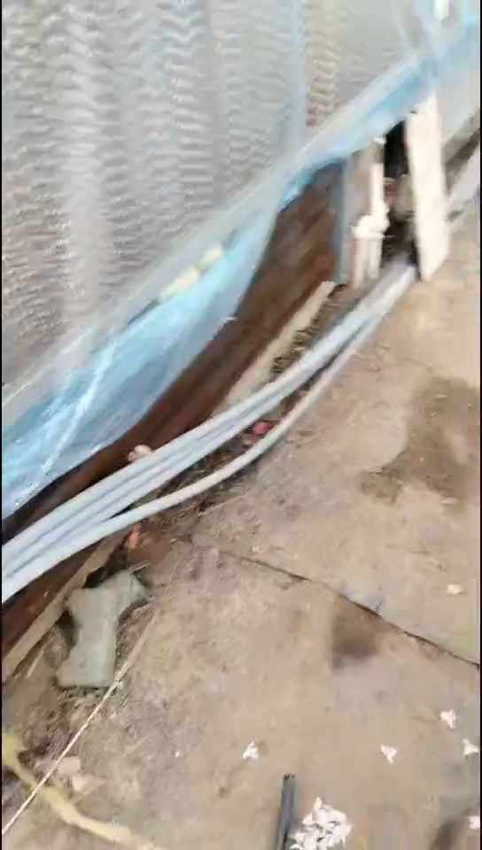 完全开放魔法师随单福利