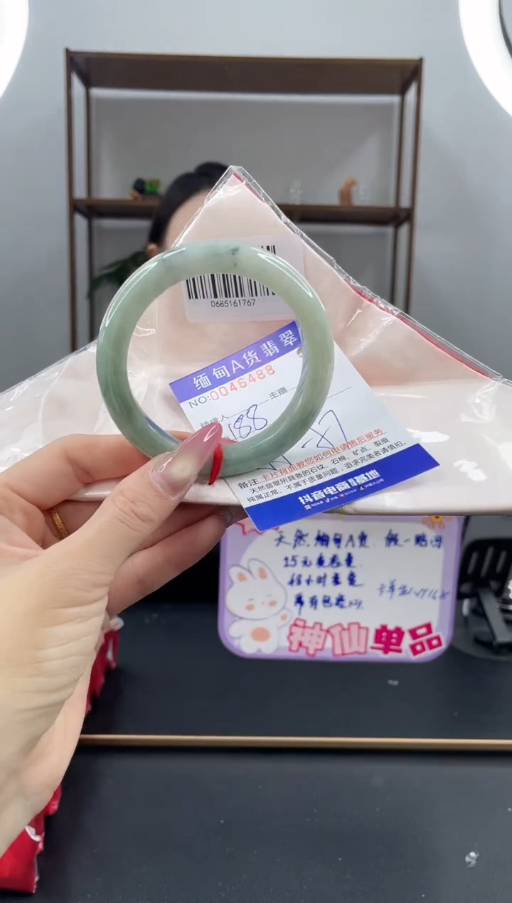 未镶嵌手镯翡翠188.00