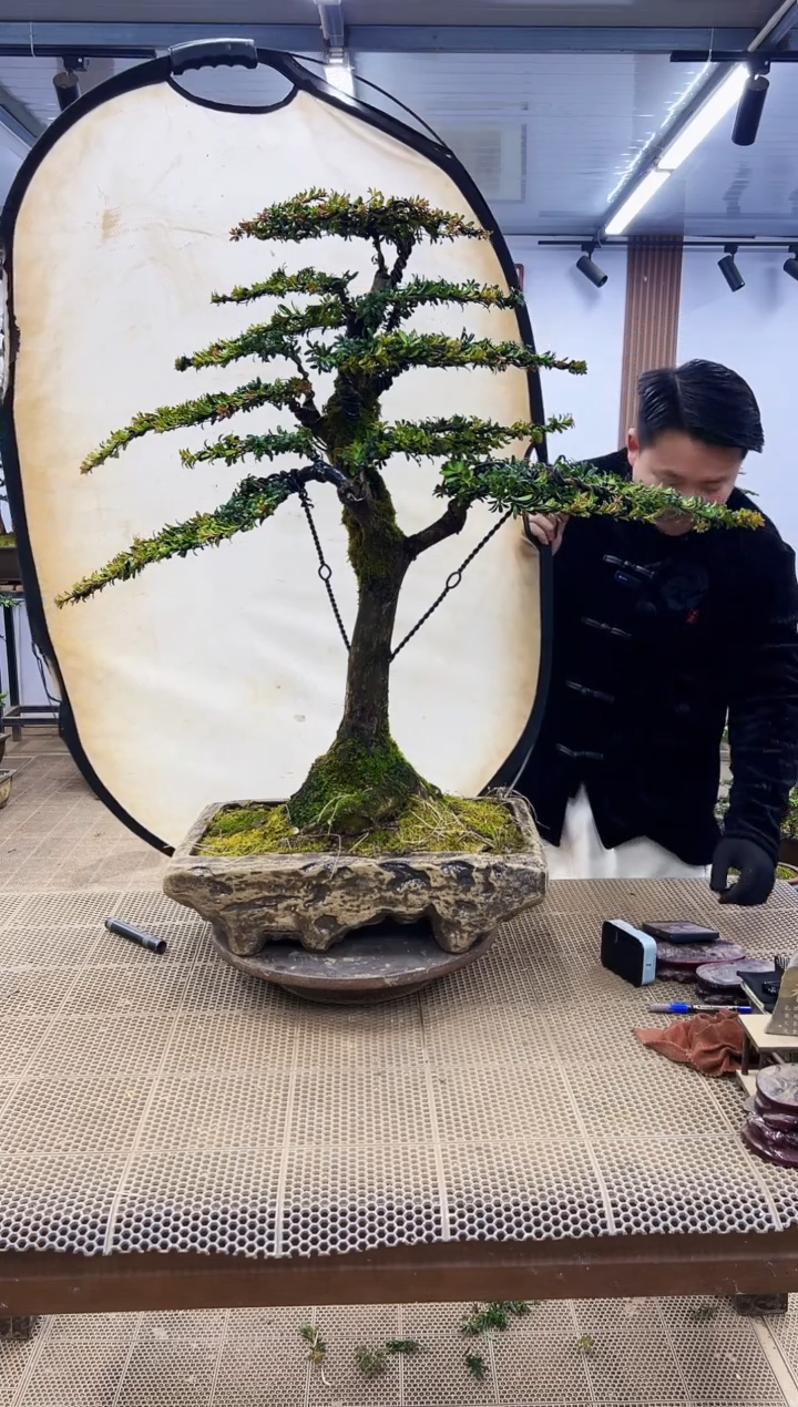 【闪购商品】0000000000