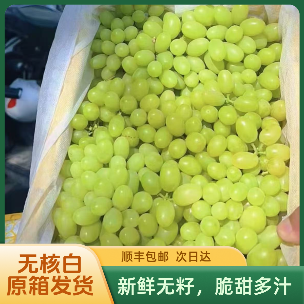【顺丰包邮】4斤装 新疆吐鲁番 奶香无籽白 小蜜蜂葡萄 v1商超品质果脆甜多汁aa91新疆维吾尔自治区