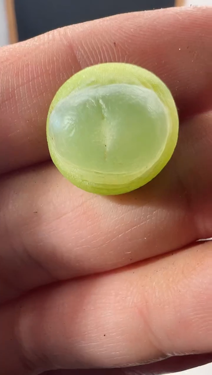 一物一拍          208