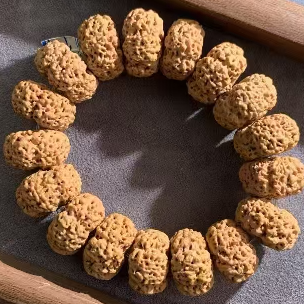 高海拔雪山板王大金刚